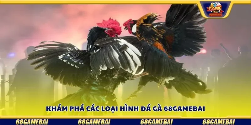 Khám phá các loại hình đá gà 68gamebai