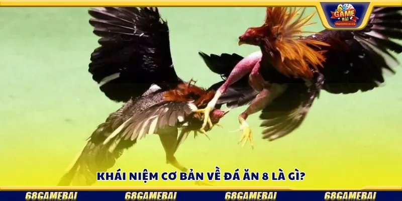 Khái niệm cơ bản về đá ăn 8 là gì?