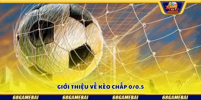 Giới thiệu về kèo chấp 0/0.5