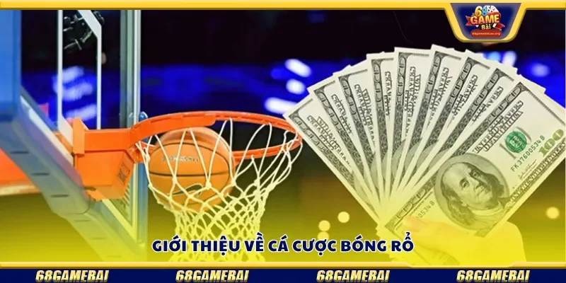Giới thiệu về cá cược bóng rổ